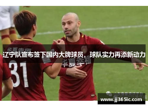 辽宁队宣布签下国内大牌球员，球队实力再添新动力